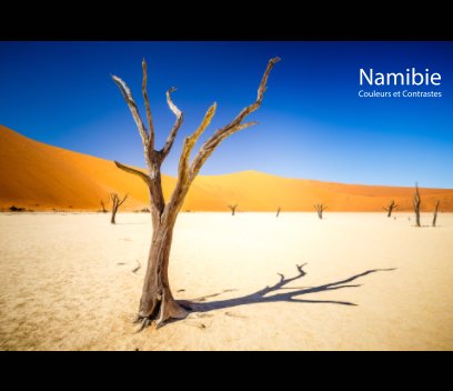 Namibie book cover