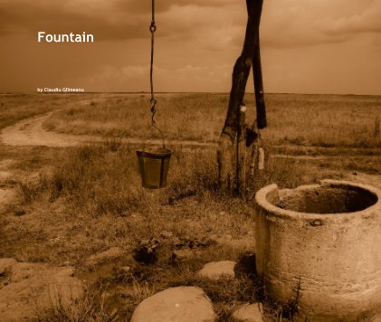 Fountain book cover