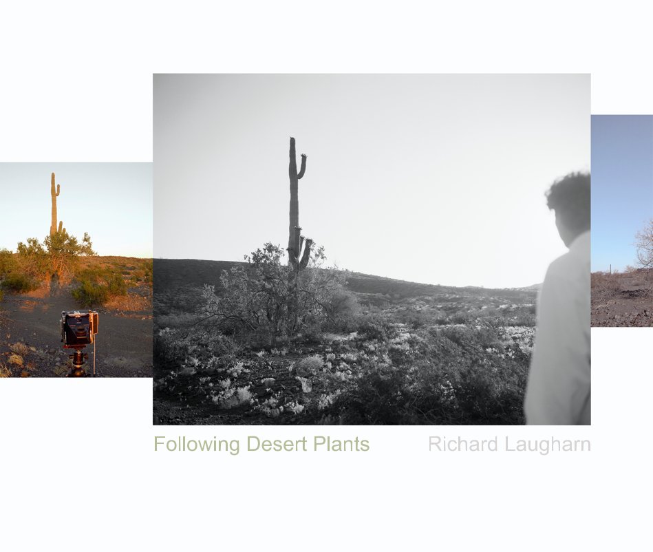 View Following Desert Plants by Richard Laugharn
