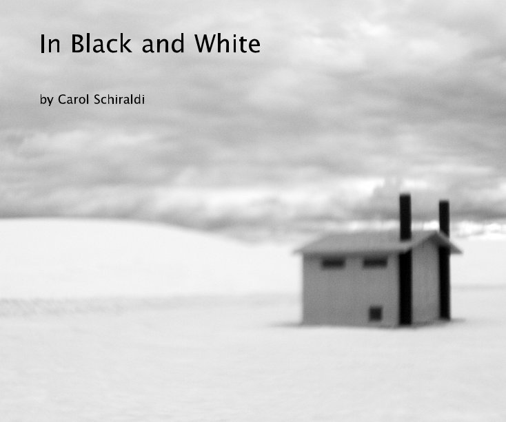 View In Black and White by Carol Schiraldi