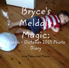 Bryce's Meldale Magic: March - October 2015 Photo Diary book cover