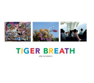 Tiger Breath book cover