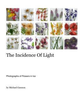The Incidence Of Light book cover