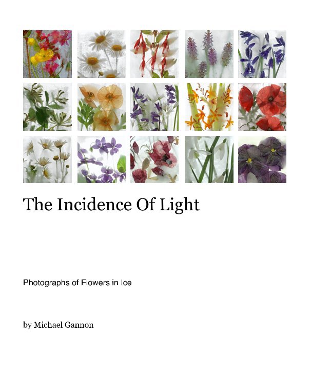 The Incidence Of Light nach Michael Gannon anzeigen