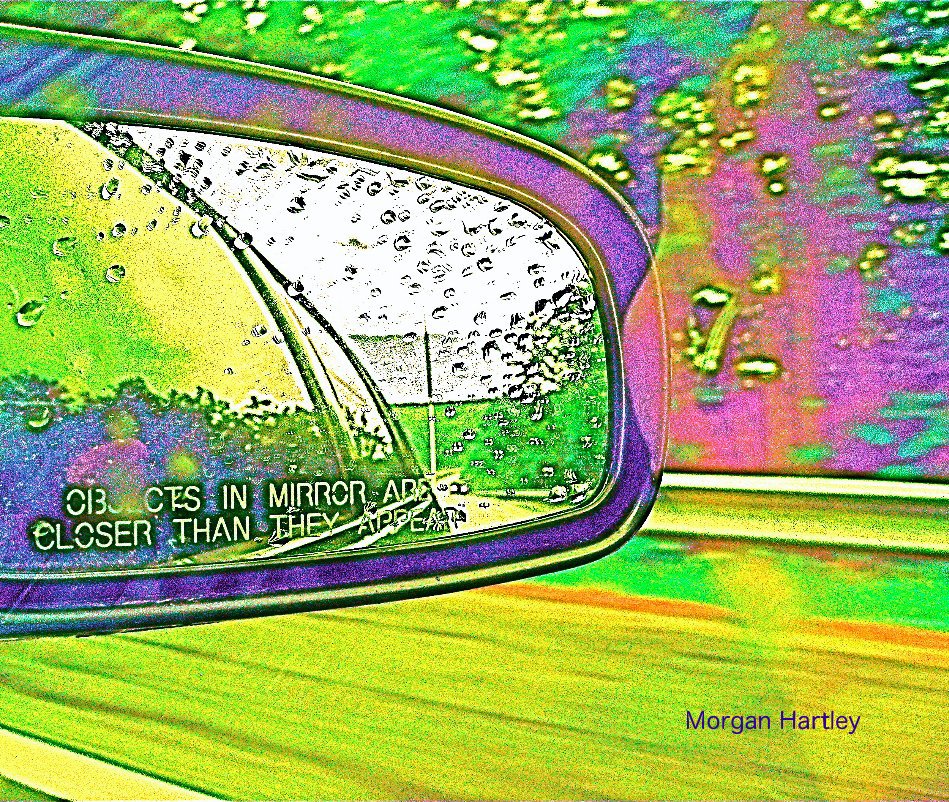 View Objects In Mirror Are Closer Than They Appear by Morgan Hartley