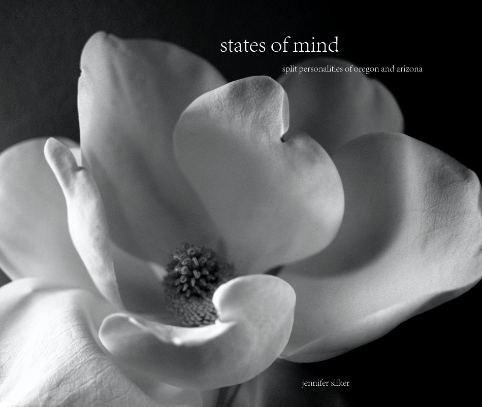 View states of mind by jennifer sliker