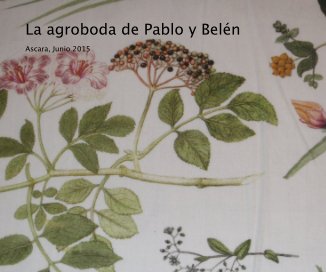 La agroboda de Pablo y Belén book cover