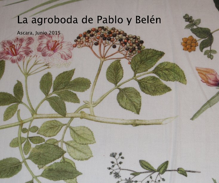Visualizza La agroboda de Pablo y Belén di Clara Gomez