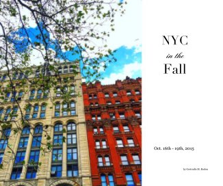 NYC in the Fall book cover