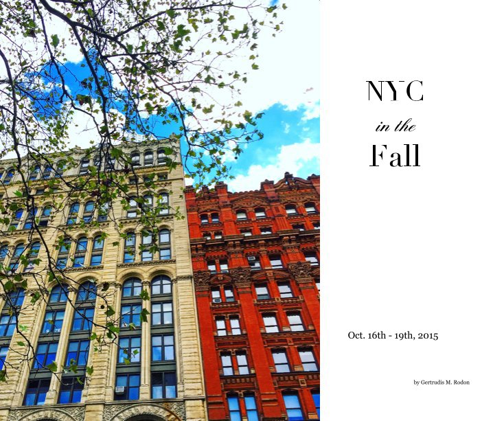 View NYC in the Fall by Gertrudis M. Rodon