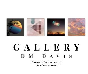 Gallery book cover