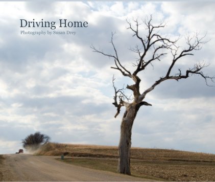 Driving Home book cover