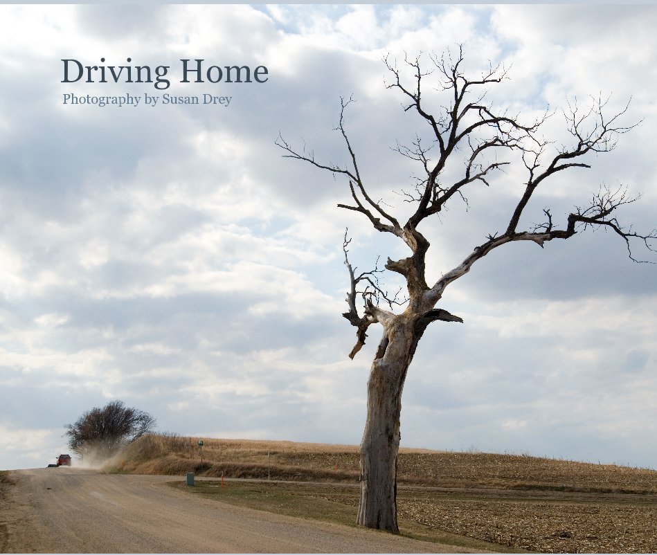 View Driving Home by Susan Drey