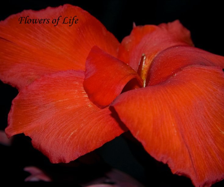 View Flowers of Life by Patricia Shields