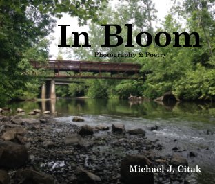 In Bloom book cover