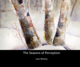 The Seasons of Perception book cover