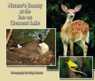 Nature's Beauty at the Inn on Crescent Lake book cover