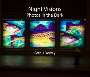 Night Visions book cover