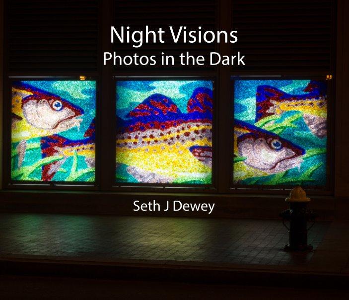 View Night Visions by Seth J Dewey