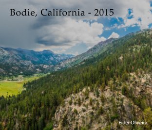 Bodie 2015 book cover