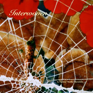 Interwoven book cover