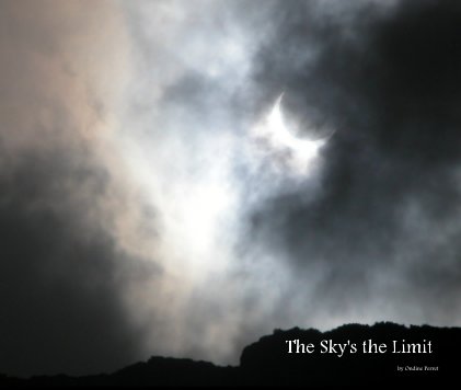 The Sky's the Limit book cover