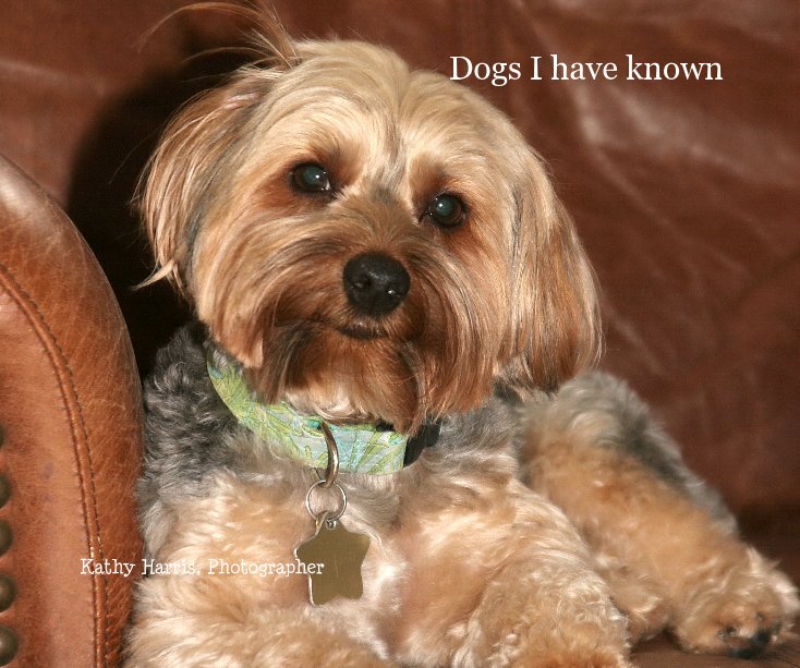 View Dogs I have known by Kathy Harris