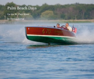 Palm Beach Days book cover