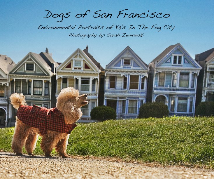 View Dogs of San Francisco by Sarah Zemunski