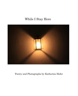 While I Stay Here book cover