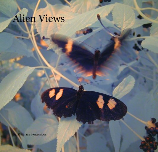 View Alien Views by Maurice Ferguson
