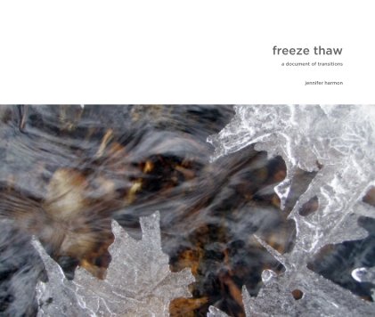 freeze thaw book cover