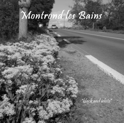 Montrond les Bains book cover