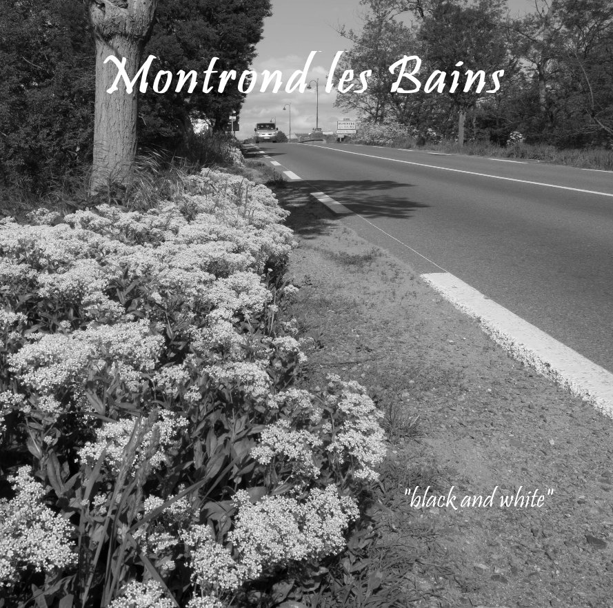 View Montrond les Bains by Robert Fleury