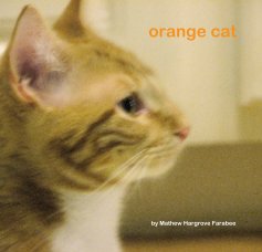 orange cat book cover