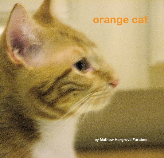 Ver orange cat por Mathew Hargrove Farabee