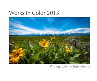 Works In Color 2015 book cover