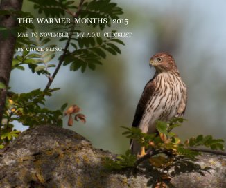 THE WARMER MONTHS 2015 book cover