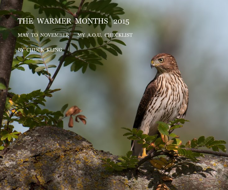 View THE WARMER MONTHS 2015 by CHUCK KLING
