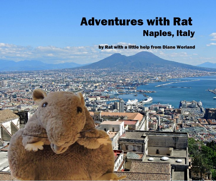 Visualizza Adventures with Rat Naples, Italy di Rat with a little help from Diane Worland