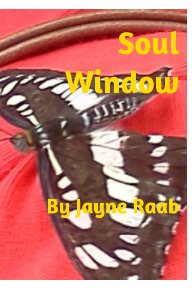 Soul Window book cover