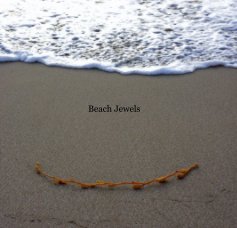 Beach Jewels book cover