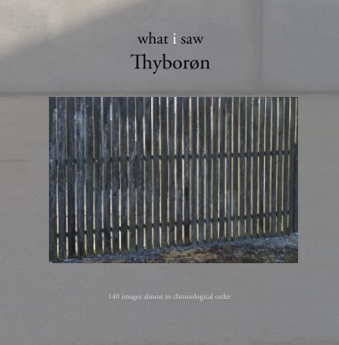 what i saw Thyborøn book cover