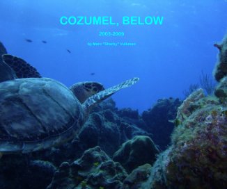 Cozumel, Below book cover