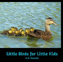 Little Birds for Little Kids book cover