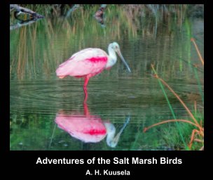 Adventures of the Salt Marsh Birds book cover