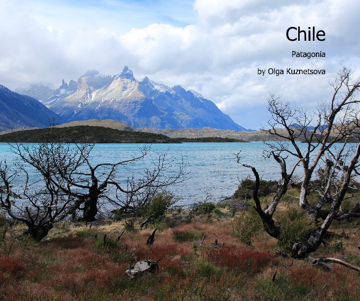 Ver Chile por Olga Kuznetsova