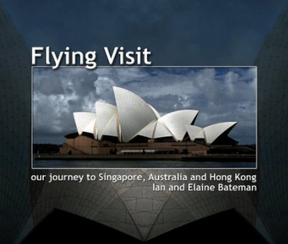 Flying Visit book cover