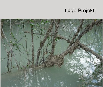 Lago Projekt book cover