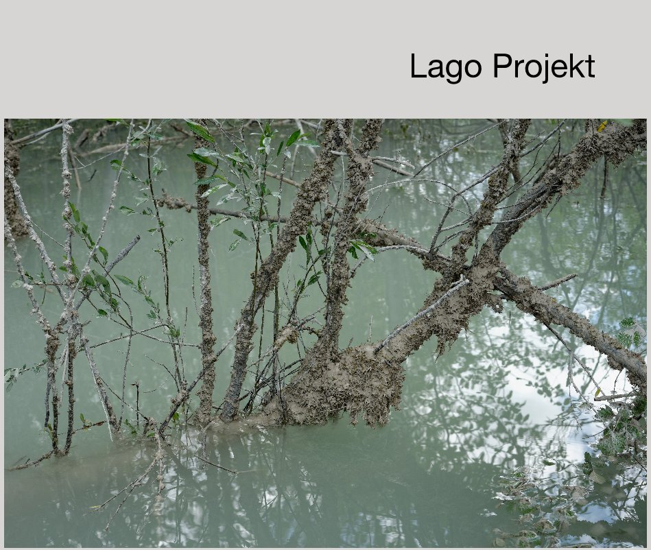 Lago Projekt nach Rino Albanese anzeigen